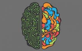 Kontakt zur Curiosando Affiliate-Abteilung