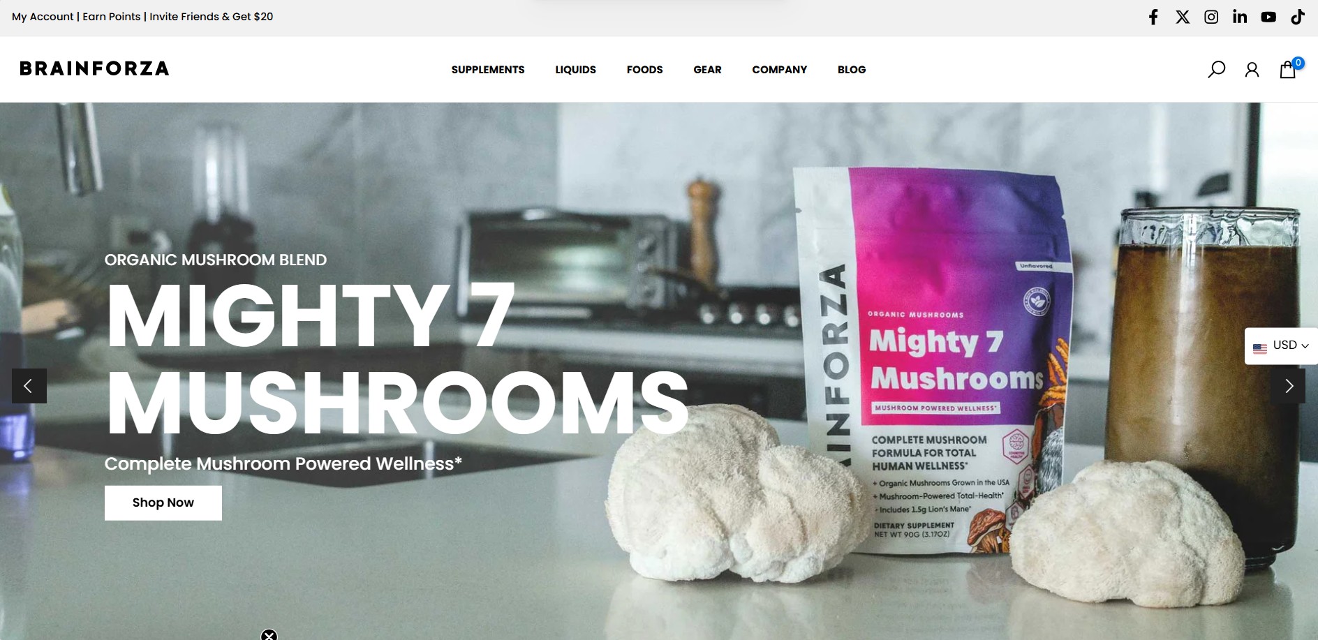 Brain Forza Partnerprogramm