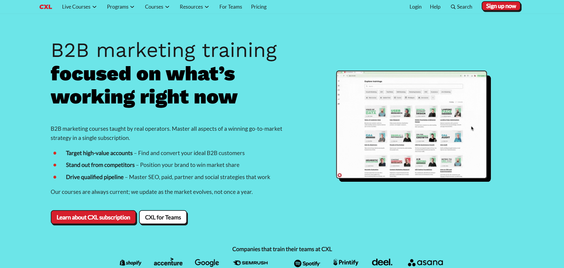 CXL Affiliate-Programm