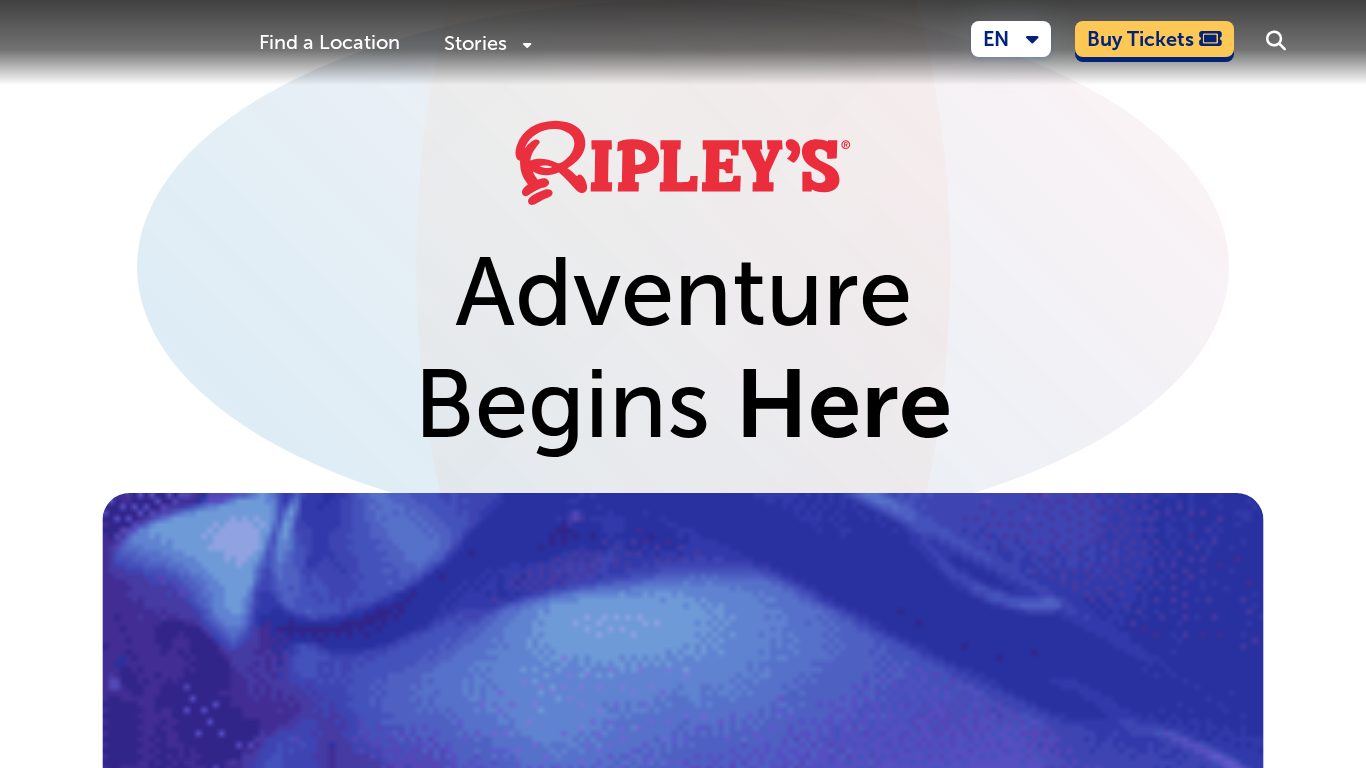 Ripley's Affiliate-Programm