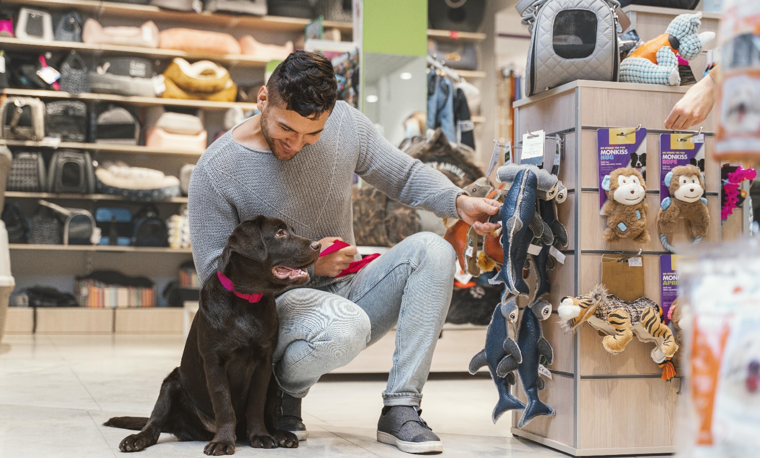 Die 20 besten Partnerprogramme für Haustiere 2025