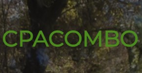 Kontakt zur CPACOMBO Affiliate-Abteilung - Affiliate Manager