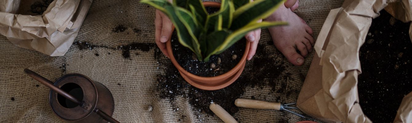 Warum Affiliate-Marketing für Haus & Garten nutzen?