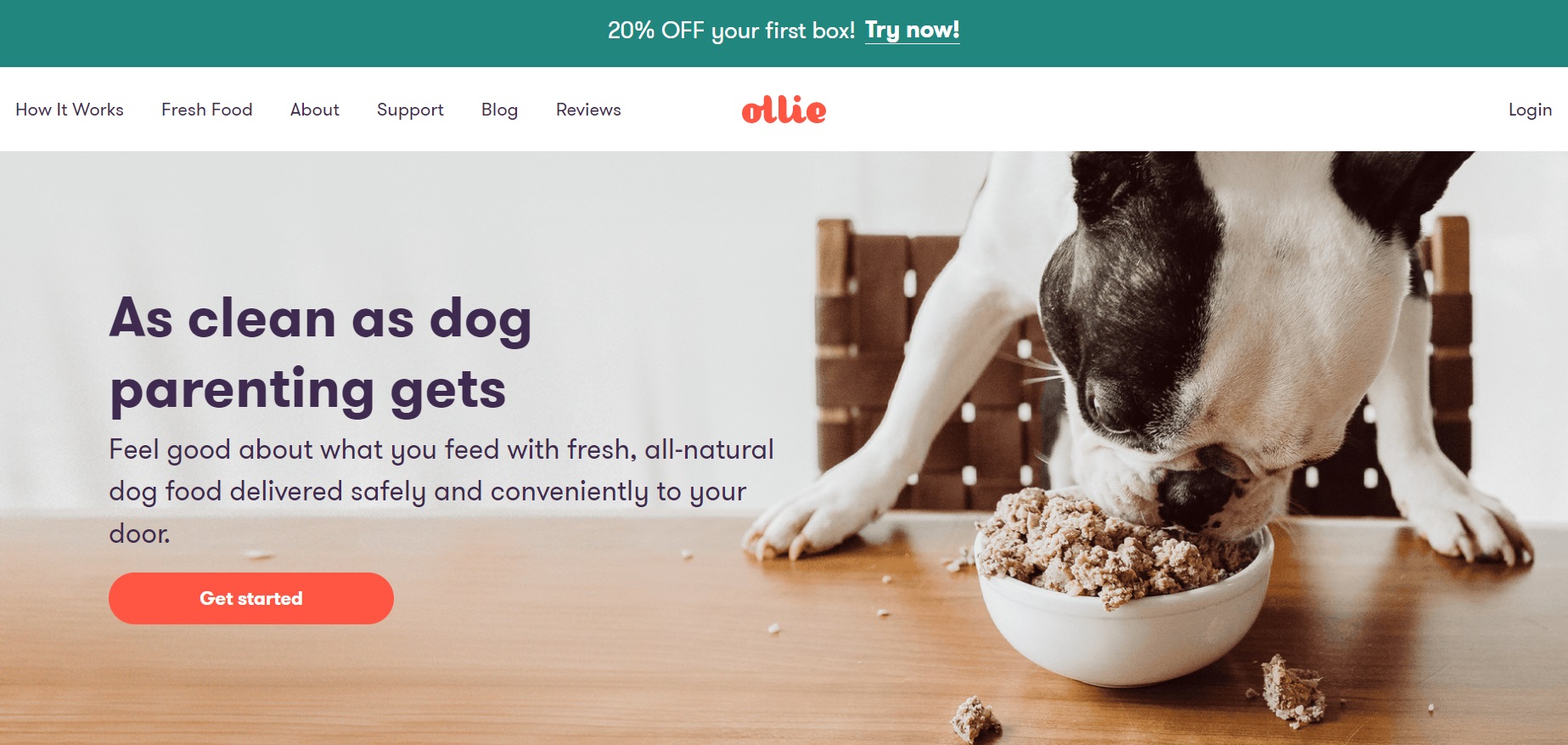 Ollie website screenshot