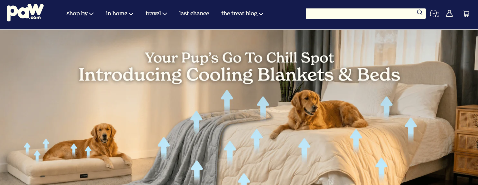 Screenshot der Paw-Website