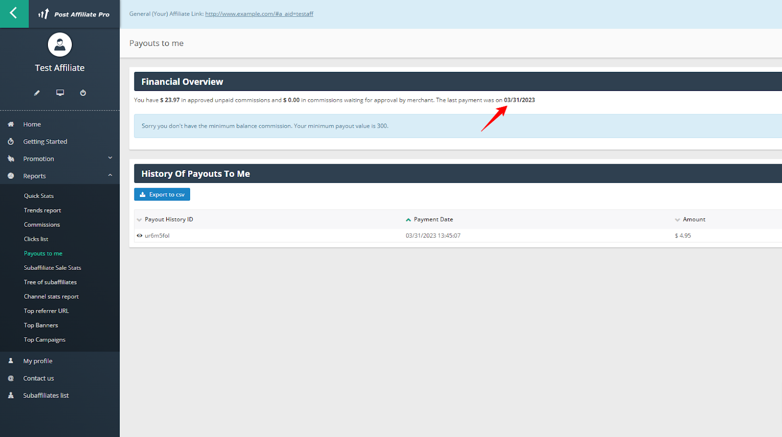 Affiliate-Panel mit Finanzübersicht, Auszahlungshistorie und Navigationsmenü