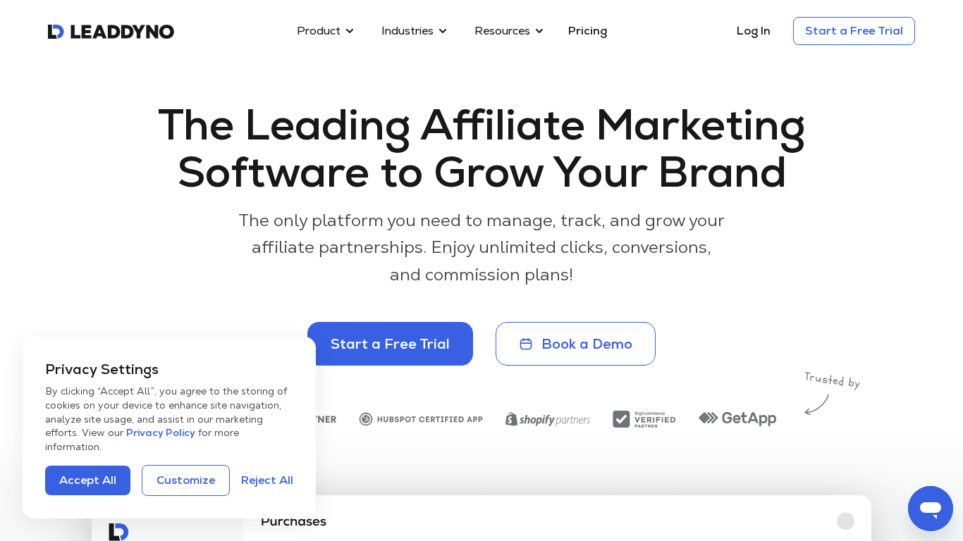 LeadDyno Dashboard für Affiliate-Programm-Management